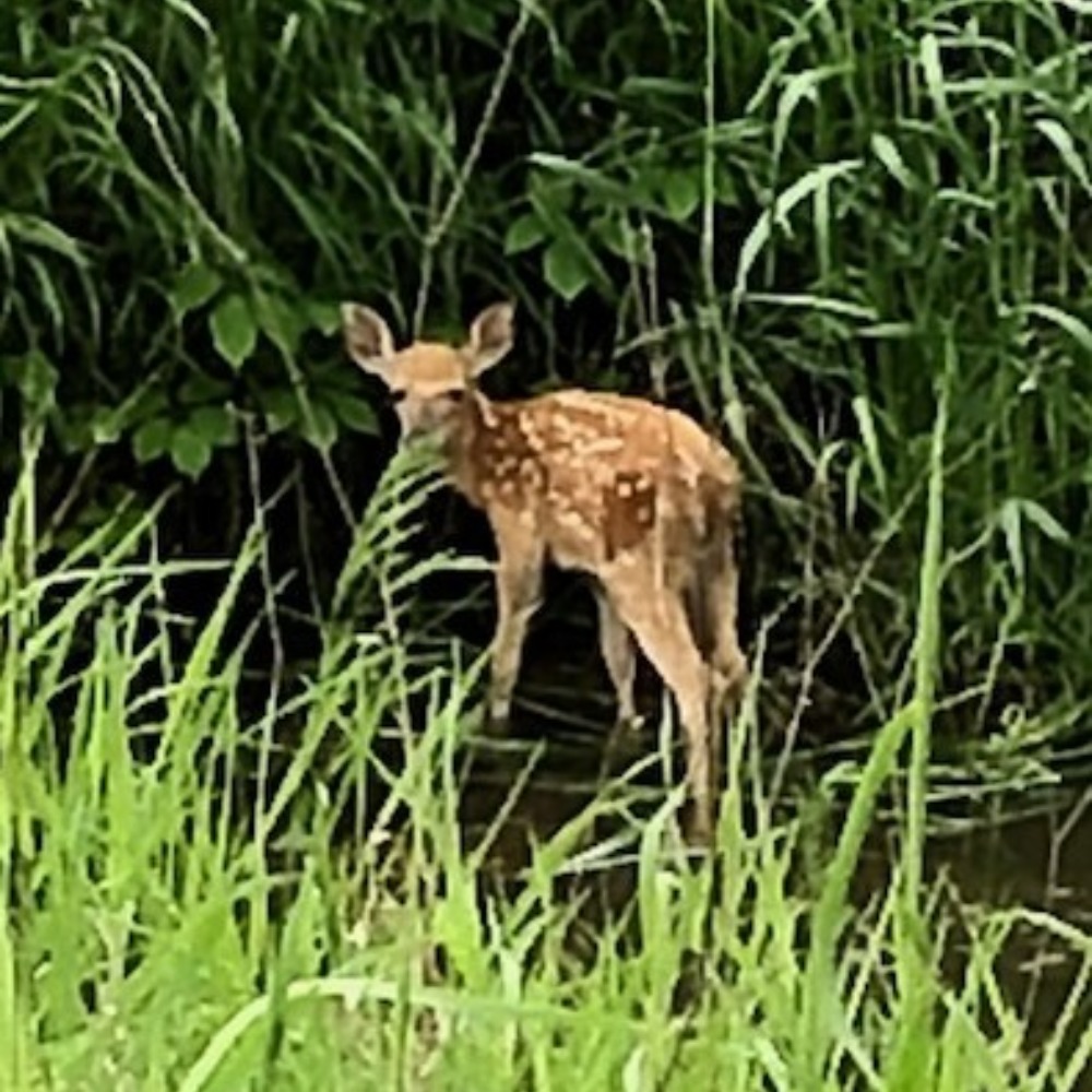 Meet your Posher, Rehita